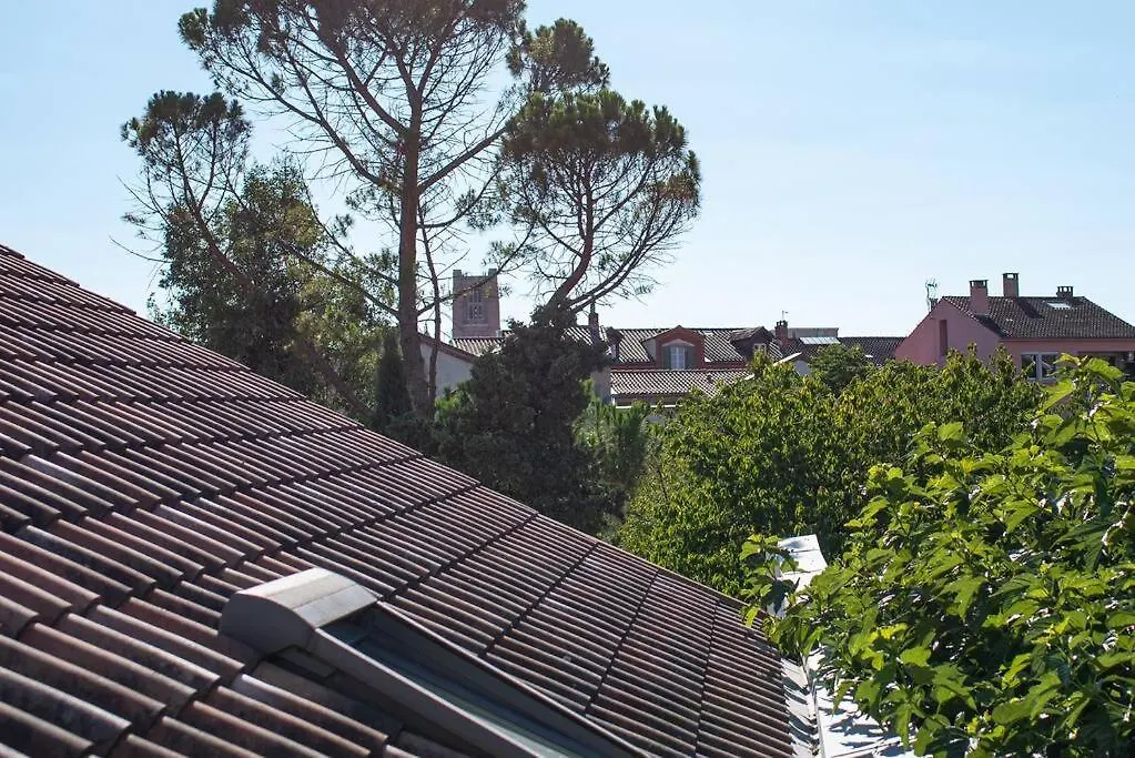 Bel Appartement En Centre Ville Albi France